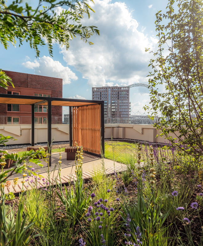 Communal Roof Terraces